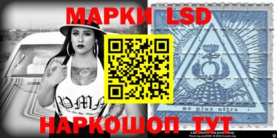индика Ставрополь
