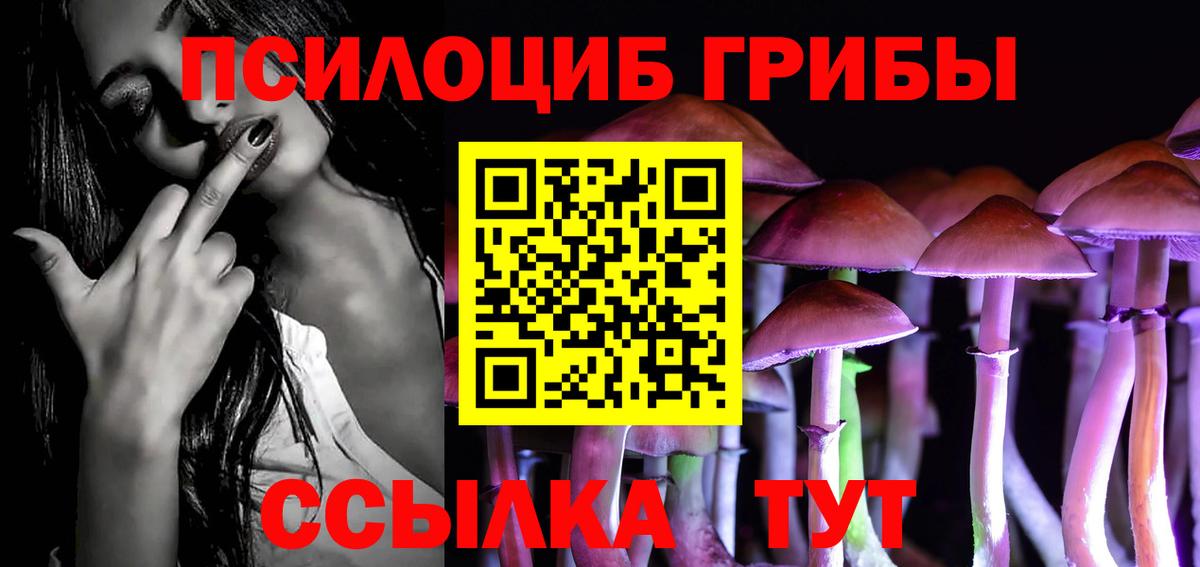 Псилоцибиновые грибы мицелий Новороссийск