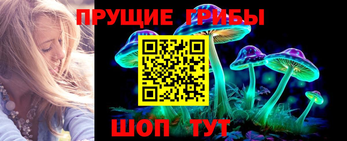 Псилоцибиновые грибы Cubensis  Вход с VPN  Галлюциногенные грибы Psilocybine cubensis  Новороссийск 